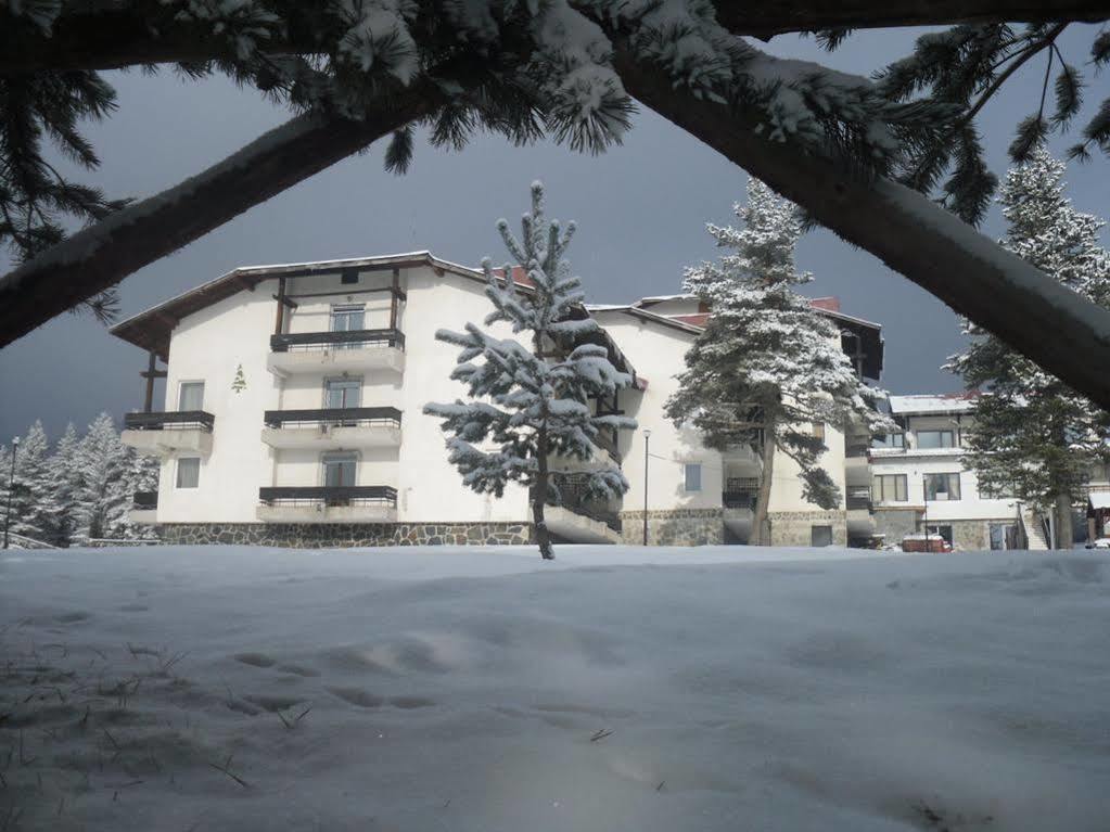 Bor Hotel Belitsa  Zewnętrze zdjęcie