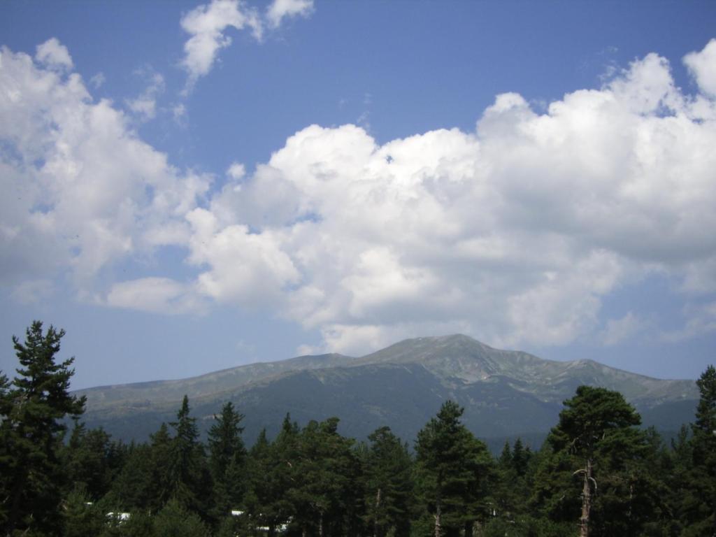 Bor Hotel Belitsa  Pokój zdjęcie